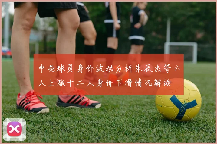 申花球员身价波动分析朱辰杰等六人上涨十二人身价下滑情况解读